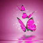 Kim.A Profile Picture