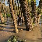 Resa1111 Profile Picture