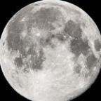 gymcode Profile Picture