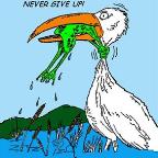 MSKAX Profile Picture