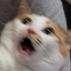 amad dev Profile Picture