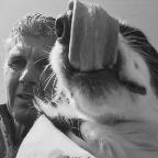 Sean James Profile Picture