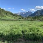 KCastorani Profile Picture