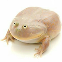 Jonathan Baettig Profile Picture