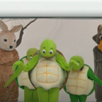 lilturtle Profile Picture