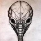 Nilo365 Profile Picture