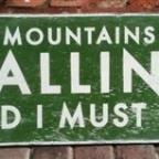 tborklund Profile Picture