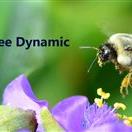 Debbie DeHart Profile Picture