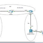 testerccccccccccccccaa Profile Picture