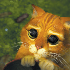 Die groot R Profile Picture