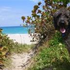 TowanaW Profile Picture