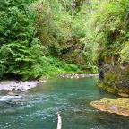 jlinck Profile Picture