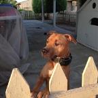 FadiJRadi Profile Picture