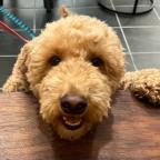 JasonSolvesIT Profile Picture