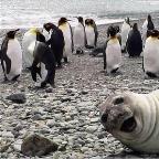 TangoMC Profile Picture