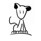 Davide Conforti Profile Picture