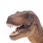 PatrickWan Profile Picture