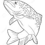 npapajani Profile Picture