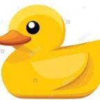 YellowDuck Profile Picture