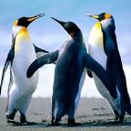 Great Plains Profile Picture