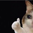 paoDEV Profile Picture