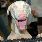 Stuart Stephens Profile Picture