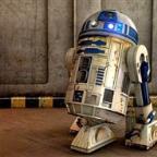 Anesh Profile Picture