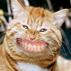 zacos Profile Picture