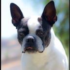 Robert M. Smith Profile Picture