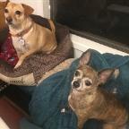 jill_dynamics Profile Picture