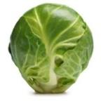 Panoone Profile Picture