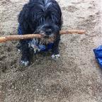 JoeArnaldo Profile Picture