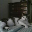 GaryHuggins66 Profile Picture