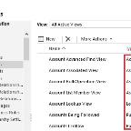 Account-Entity-Views.jpg