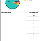 ssrs-report.png